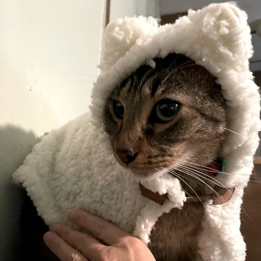 Off-White Kitty Christmas Cape with hood. Size Small